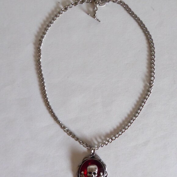NEW SKULL CROSSBONES BLOOD RED JEWEL PENDANT W/ SILVER 20” CHAIN GOTHIC - Picture 10 of 16